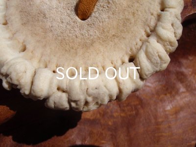 画像6: ◇ エルク角コンチョ