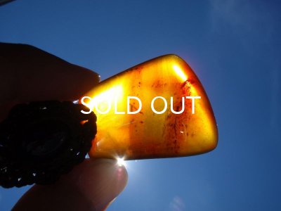 画像6: ミャンマー産アンバーペンダントヘッド