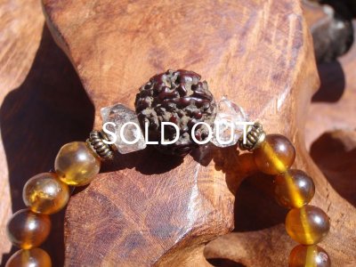 画像6: ミャンマー産アンバー×アンティークルドラクシャブレスレット