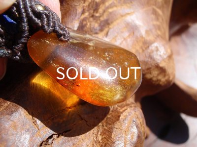 画像9: ミャンマー産アンバーペンダントヘッド