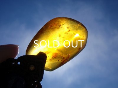 画像11: ミャンマー産アンバーペンダントヘッド