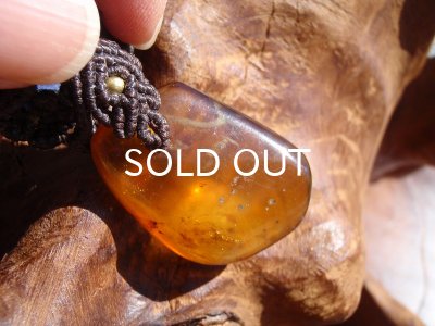 画像7: ミャンマー産アンバーペンダントヘッド