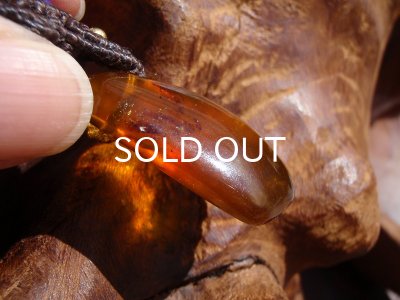 画像6: ミャンマー産アンバーペンダントヘッド