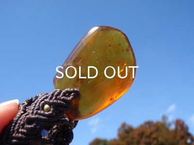 画像14: ミャンマー産アンバーペンダントヘッド