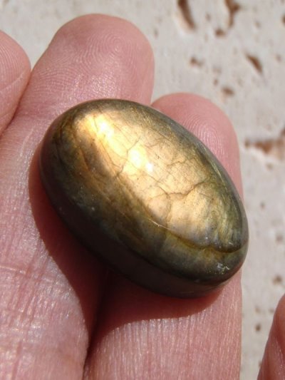 画像9: 開花する可能性 ◇ ラブラドライト 01