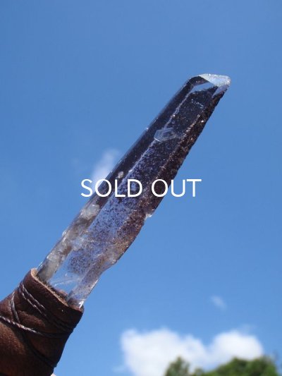 画像8: ◇ ターキー×ピーコックフェザーワンド　