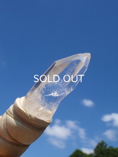 画像7: ◇ コンゴウインコフェザーワンド　