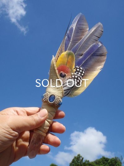 画像10: ◇ コンゴウインコフェザーワンド　