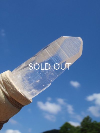 画像8: ◇ コンゴウインコフェザーワンド　