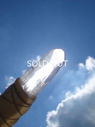 画像9: ◇ コンゴウインコフェザーワンド　