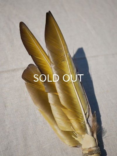 画像4: ◇ コンゴウインコフェザーワンド　