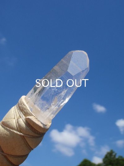 画像6: ◇ コンゴウインコフェザーワンド　