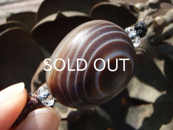 画像4: 目ん玉アゲート (4)