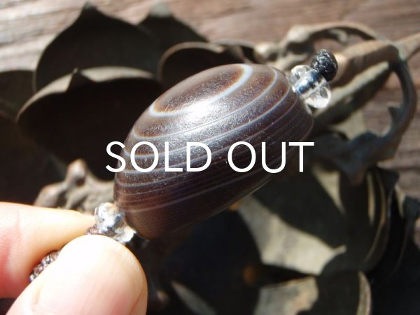 画像5: 目ん玉アゲート (5)