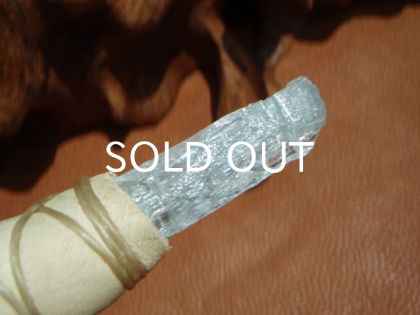 画像5: アクアマリンコンゴウインコテールソード (5)