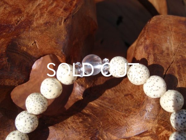 画像5: ラピスラズリ×菩提樹の種ブレスレット (5)