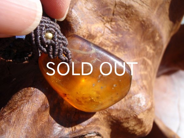 画像7: ミャンマー産アンバーペンダントヘッド (7)