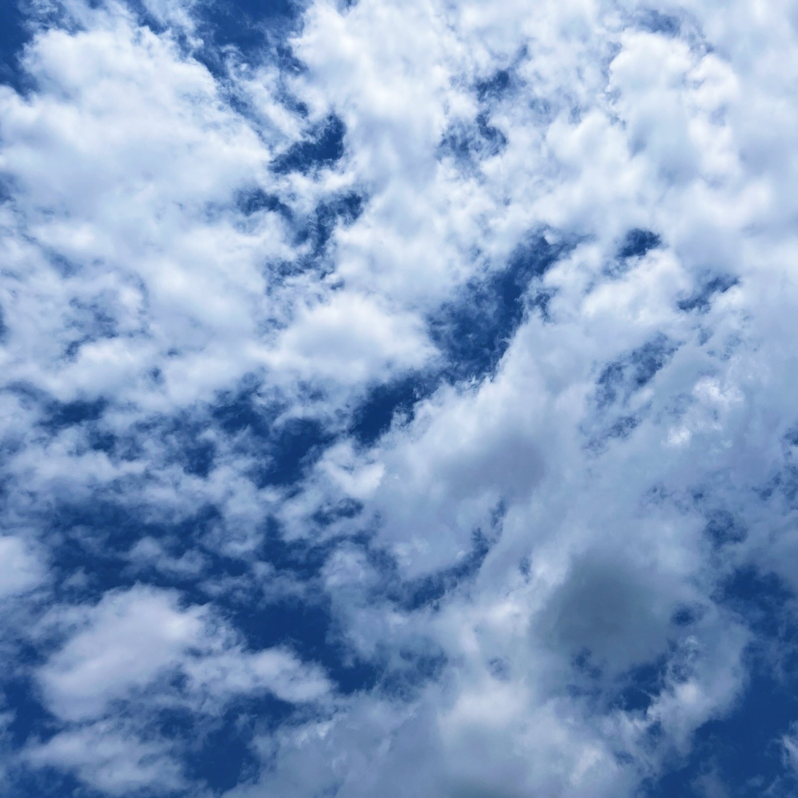◆　6月17日（火）～24日（火）の期間長期不在のお知らせ。